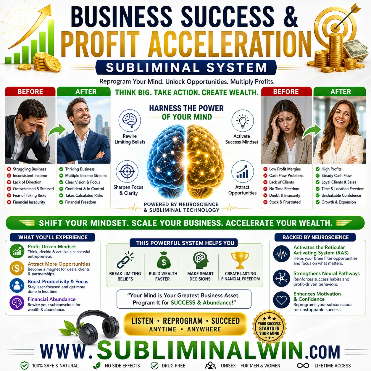 business-success-subliminal-1 Business Success & Profit Acceleration Subliminal System - Image 1